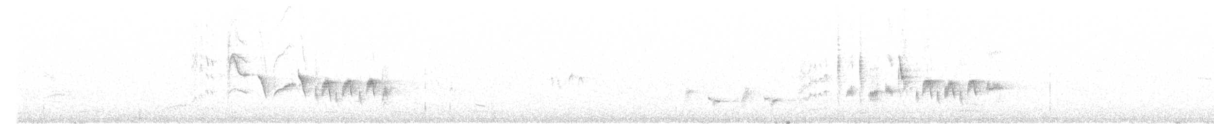 pěnice pokřovní (ssp. althaea) - ML332833771