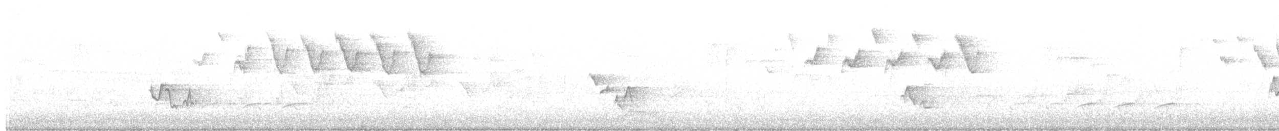 paruline sp. - ML332854661