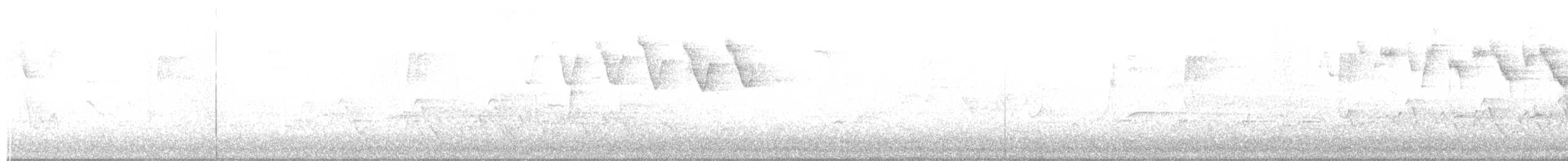 paruline sp. - ML332854671