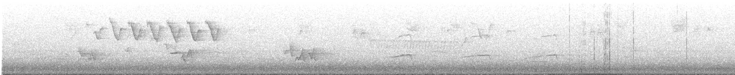 paruline sp. - ML332854691