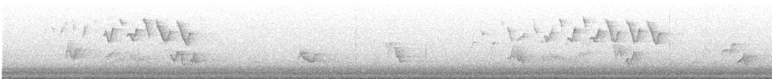 paruline sp. - ML332854711