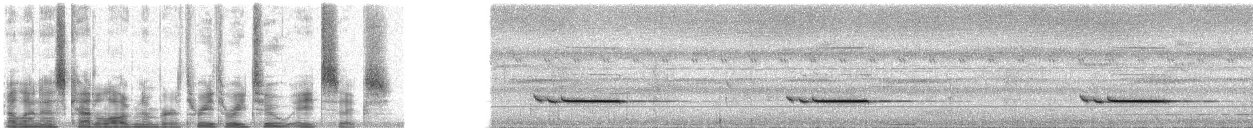 Striped Wren-Babbler - ML33286
