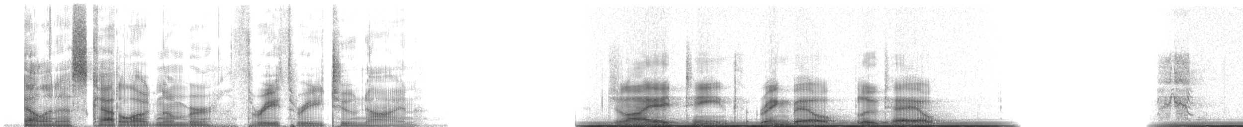 Ring-billed Gull - ML3329