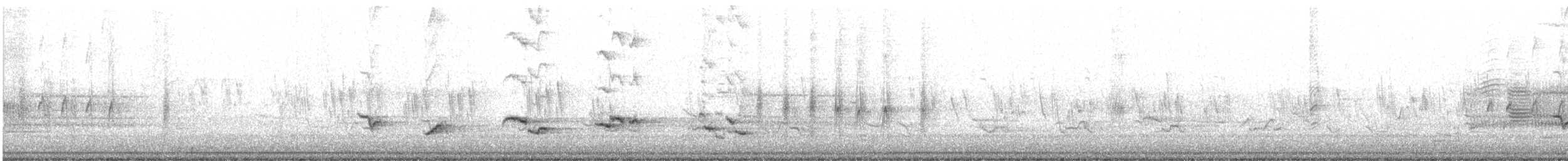 American Robin - ML332952831