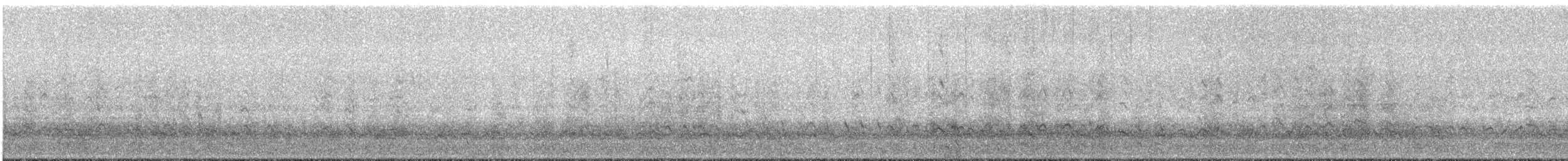 Black-tailed Godwit - ML33310431