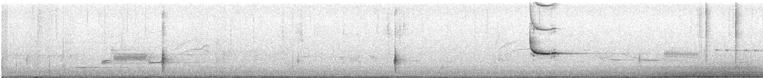 vlhovec červenokřídlý [skupina phoeniceus] - ML333112501