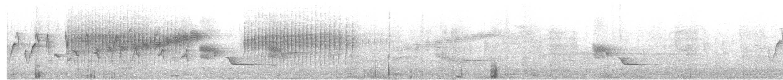 Northern Parula - ML333130881