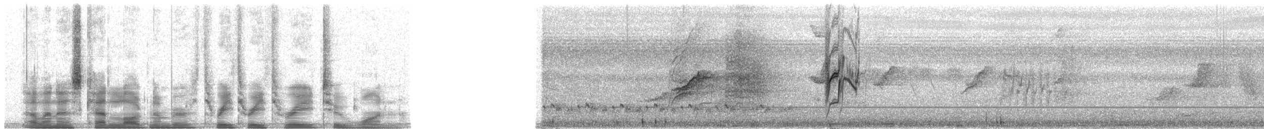 Rufous-bellied Swallow - ML33321