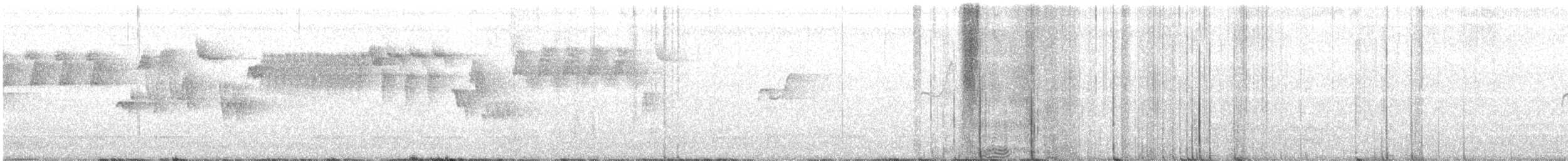 Тихоокеанский крапивник - ML333256171