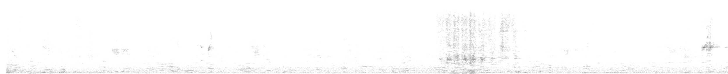 svarthodet dvergpapegøye - ML333281091