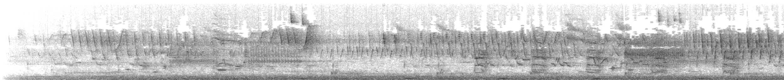 American Bittern - ML333319931