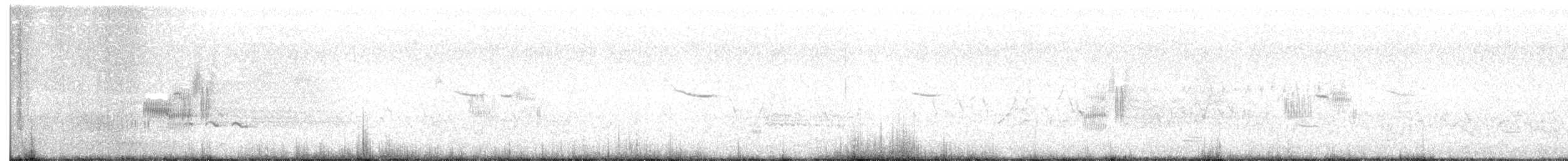 Seaside Sparrow - ML333365121