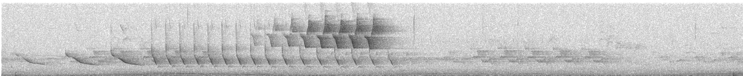 Protonoter Ötleğeni - ML333512371