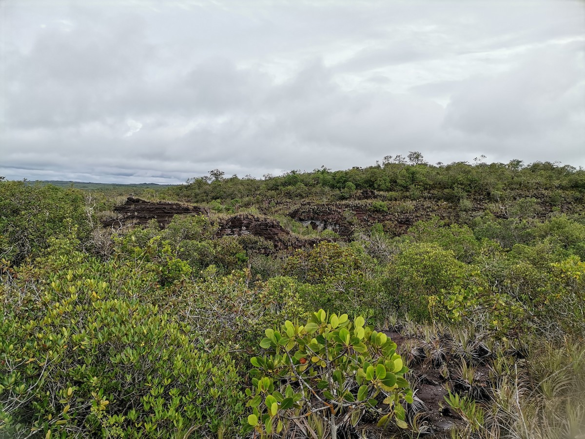 Émeraude d'Olivares - ML333515601