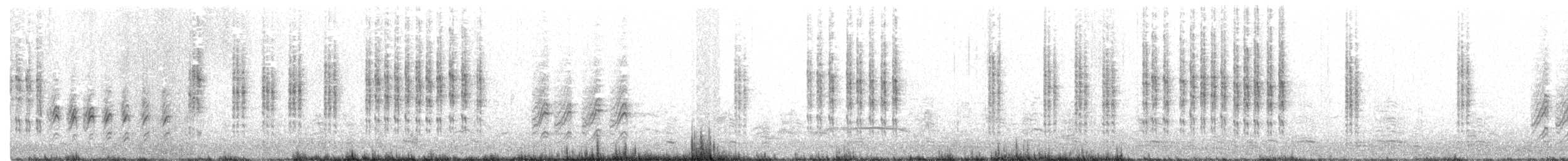 Phragmite des joncs - ML333517721