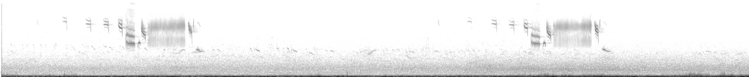 Savannah Serçesi [guttatus grubu] - ML333697681