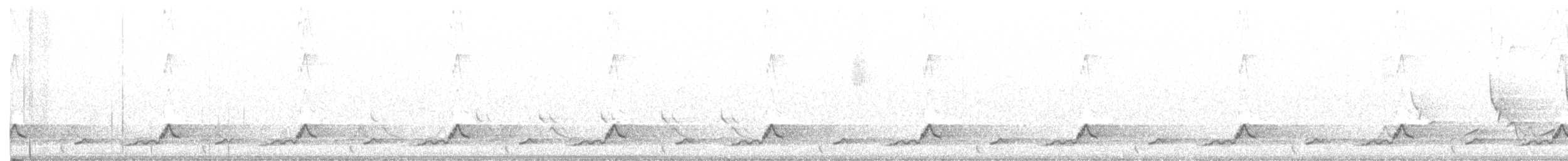 Schwarzkehl-Nachtschwalbe - ML333715181