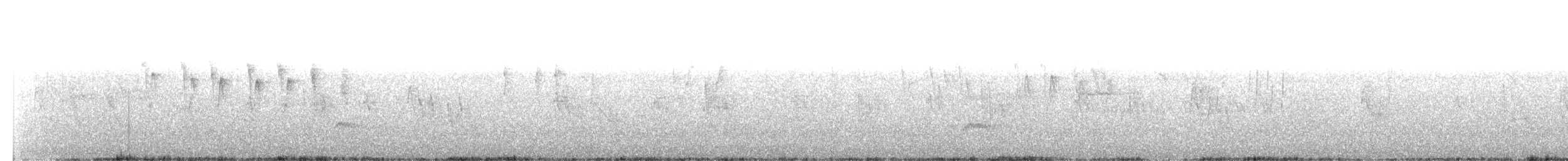 Малая вильсония - ML333736911