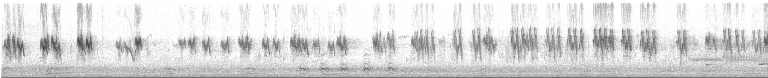 Hirondelle bicolore - ML333742711