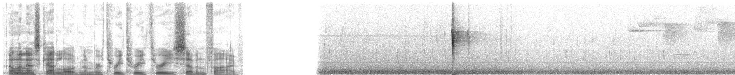 Pygmy Cupwing - ML33375