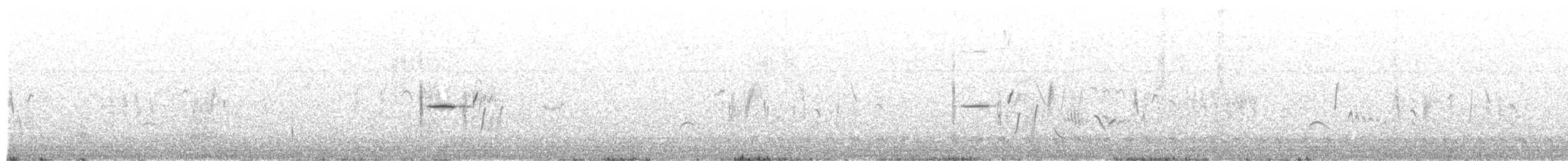 Кам’янка звичайна (підвид oenanthe/libanotica) - ML333762191