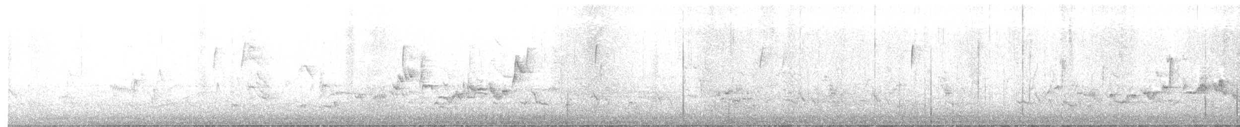 Warbling Vireo - ML333762811