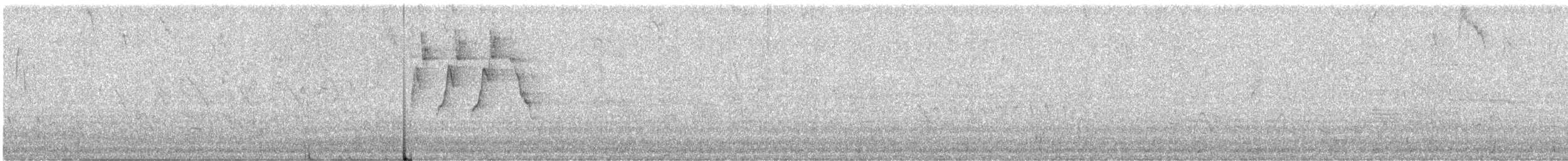 Protonoter Ötleğeni - ML333793181