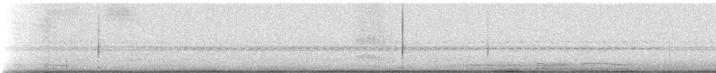 Band-winged Nightjar (longirostris) - ML333811751