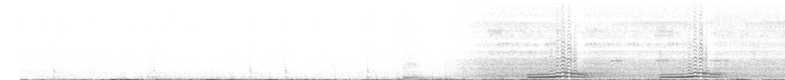 Cárabo Ocelado - ML333814671