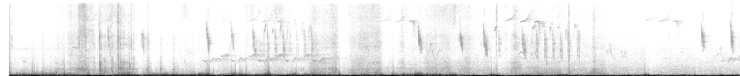 Troglodyte à bec court - ML333881001