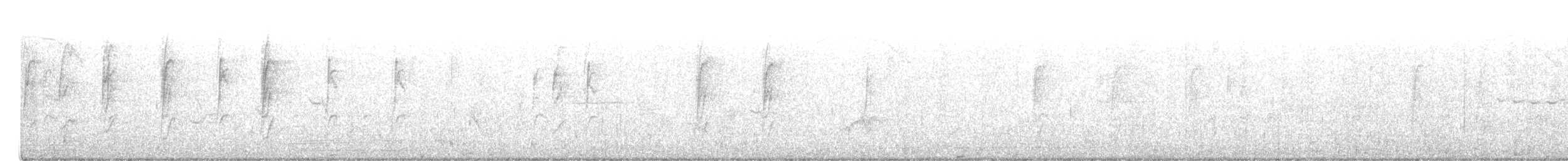 Хар тодол - ML333927611