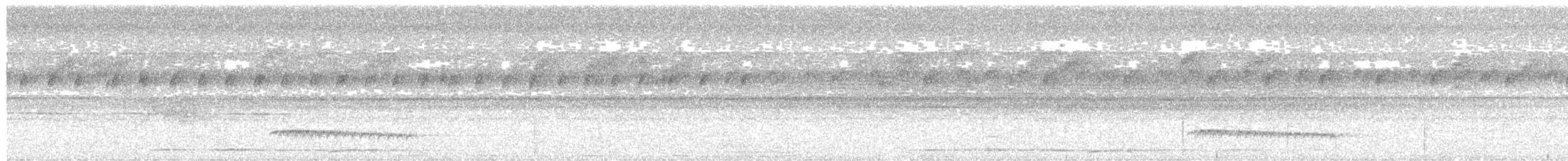 Tüpfelkronen-Ameisenvogel - ML333996621