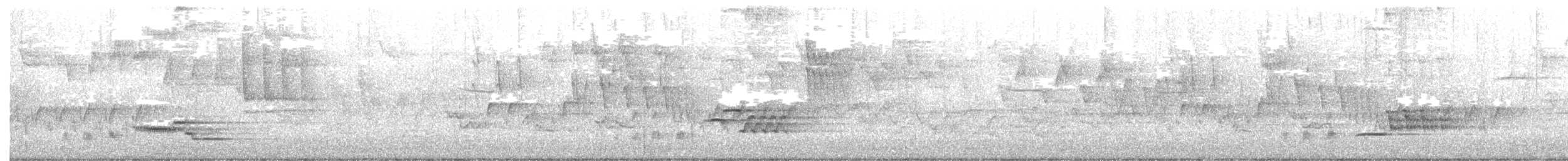 Wood Thrush - ML334008521