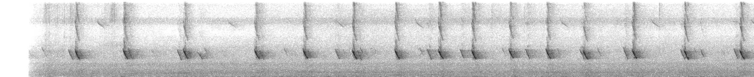 Méliphage de Nouvelle-Hollande - ML334018131