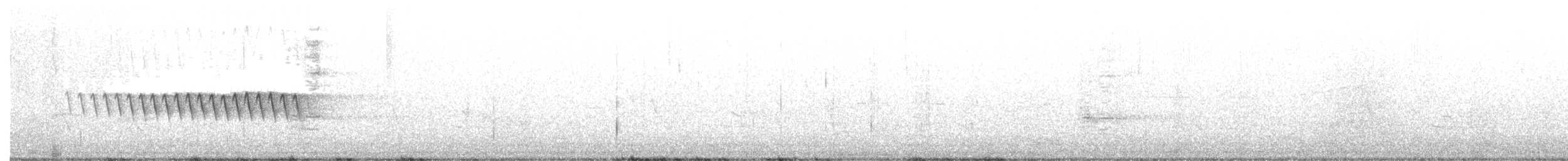 マツアメリカムシクイ - ML334018981