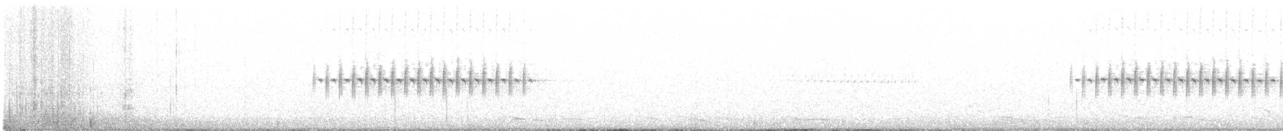 Kara Gözlü Junko (hyemalis/carolinensis) - ML334089701