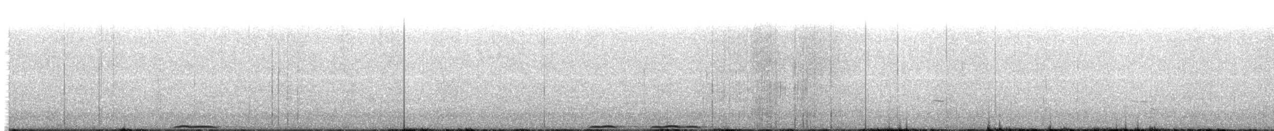 puštík bělavý (ssp. davidi) - ML334094901