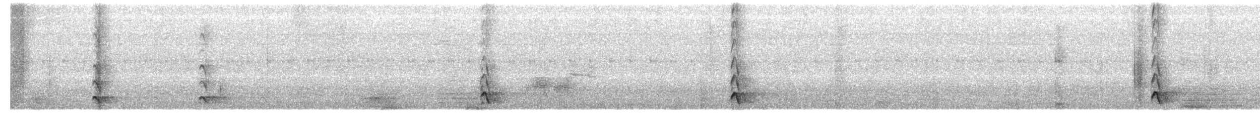 Aplomado Falcon - ML334127621