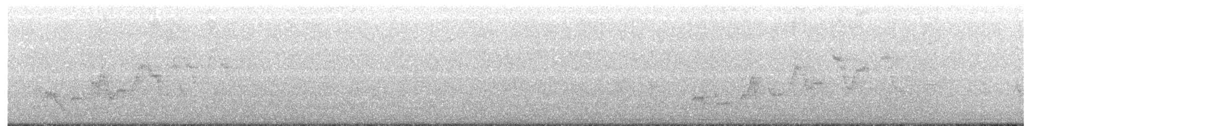 Дрізд-короткодзьоб Cвенсона - ML334199801