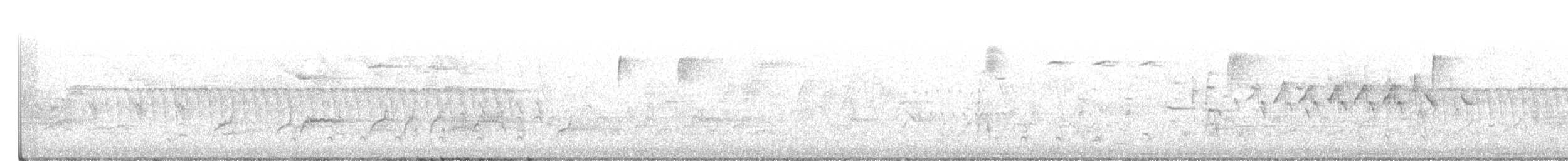Paruline à croupion jaune (coronata) - ML334314031