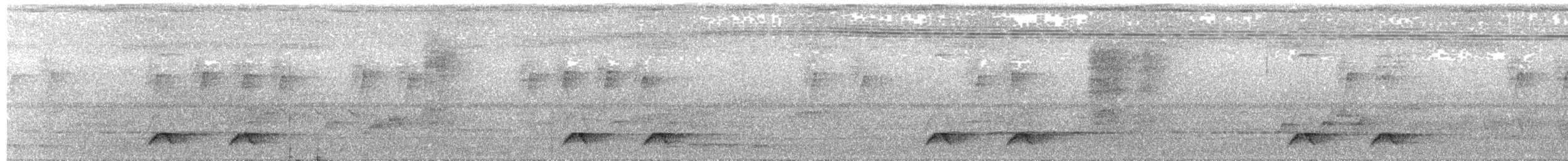 Western Hooded Pitta (Chestnut-crowned) - ML334336231