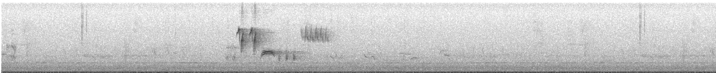 Тауї плямистий - ML334362011