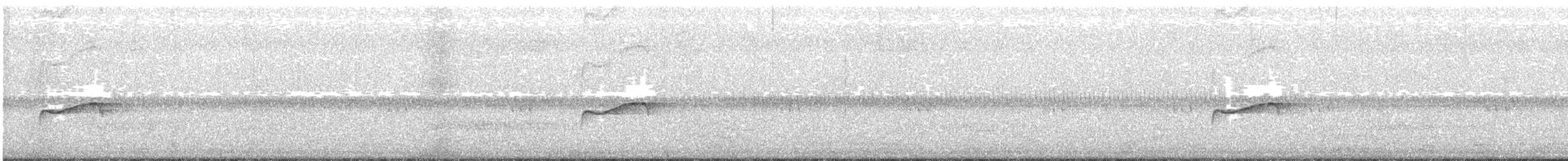 Eastern Wood-Pewee - ML334432751