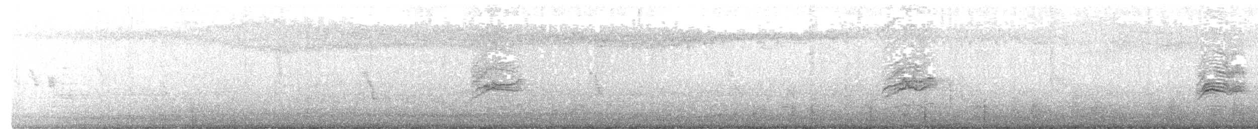 Дрізд-короткодзьоб плямистоволий - ML334438671