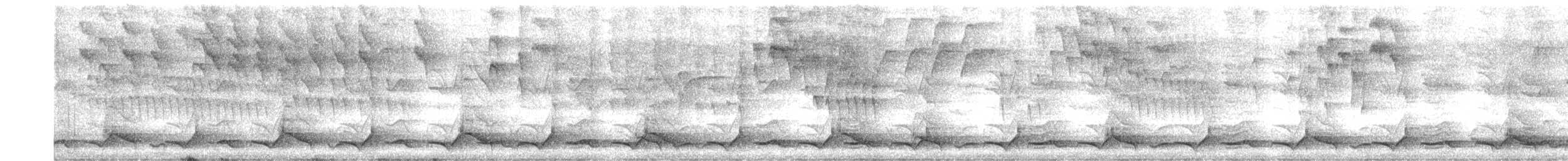 Пятнистый зубцеклювый перепел - ML334556231