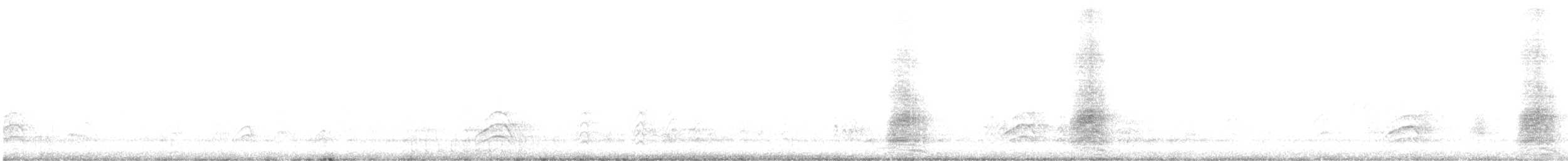 Yellow-billed Magpie - ML334578251