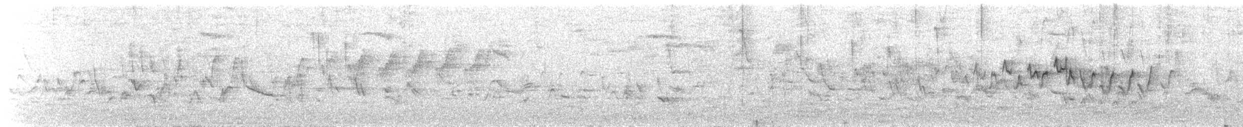 Yellow-rumped Warbler (Myrtle) - ML334633671