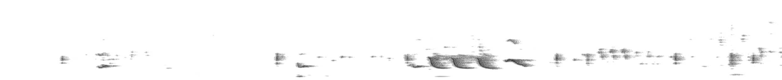 Белокрылый x Балтиморский трупиал (гибрид) - ML334646951