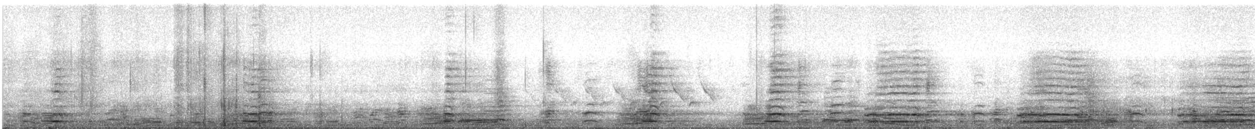 Cisne Trompetero - ML334718061