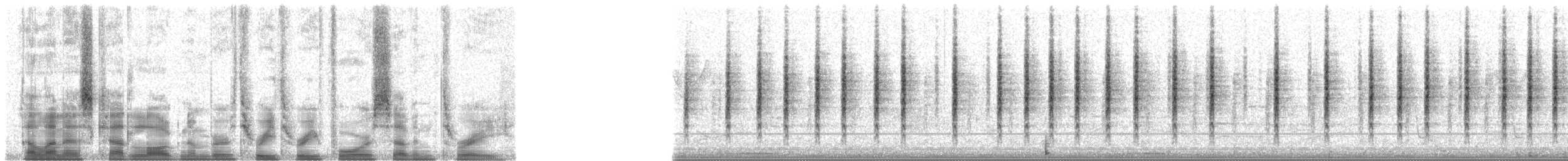 stripesanger - ML33473